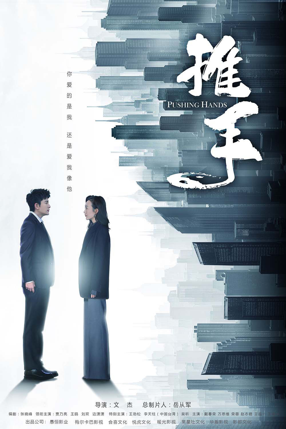 電(diàn)視(shì)劇(jù)《推手》